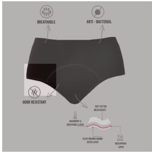 271 Nykaa No Stain Panty