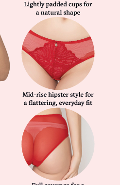 BZB3134 Brief Floral Lace Hipster  B'ZAR