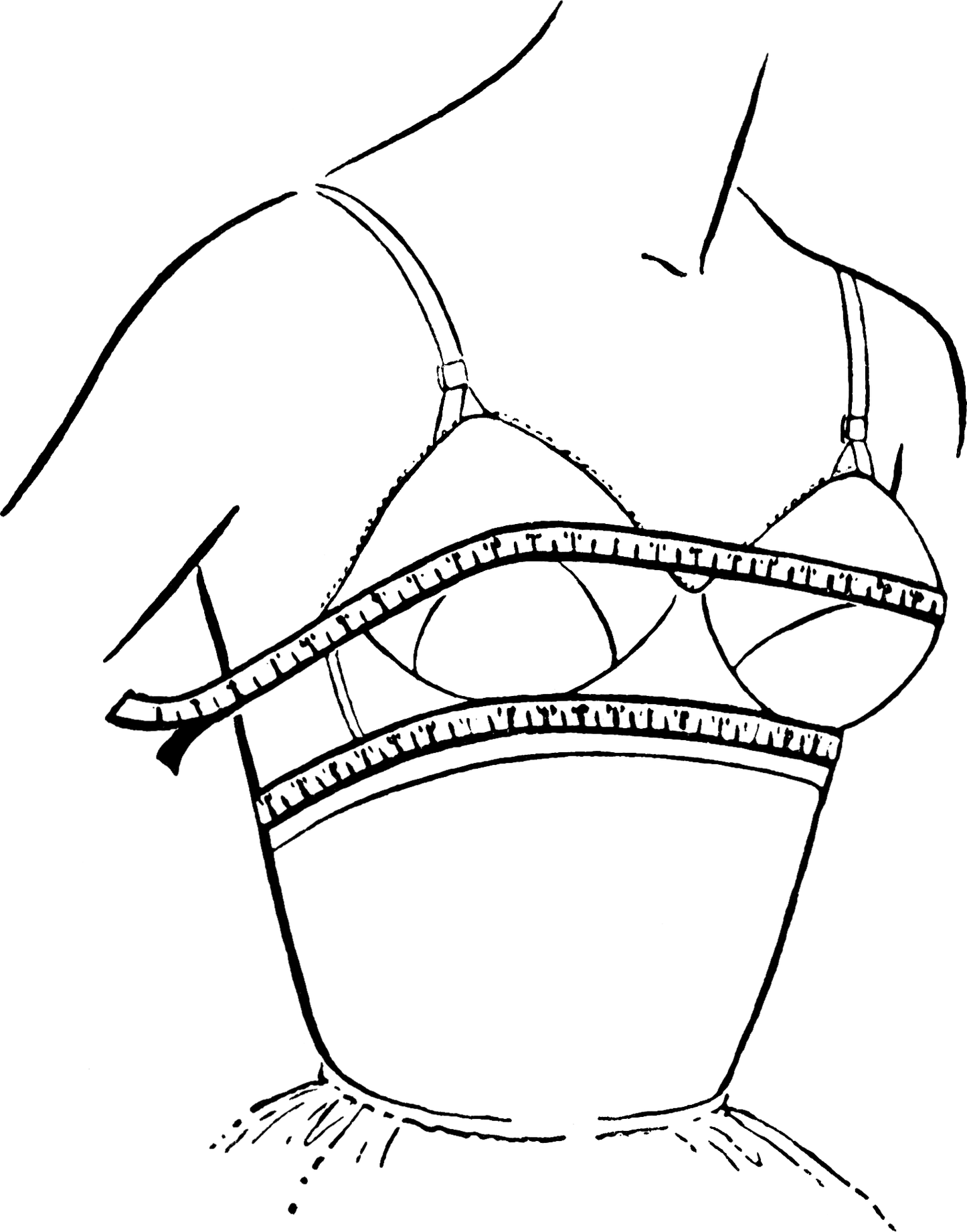 FREE Bra Fitting Service bra fitting, service - bare essentials